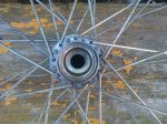 IMG_20120328_100538.jpg