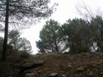 m_Cazorla febrero 07 102.jpg