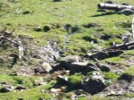 P0000024_redimensionar.JPG