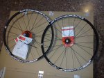 DSC00351.jpg