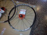 DSC00352.jpg