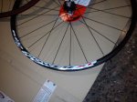 DSC00353.jpg