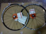 DSC00354.jpg