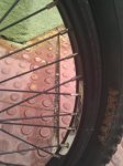 IMG_20120331_200217.jpg