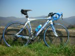 RS9- 3.jpg