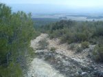 DSC00100.jpg