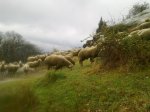 07042012184d.JPG