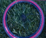 DSC08511.JPG