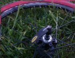 DSC08518.JPG