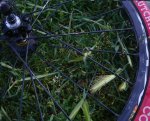 DSC08513.JPG