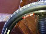 IMG-20120410-WA0002.jpg