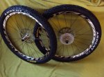 DSC02179.JPG