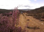 Foto0210.jpg
