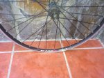 IMG-20120419-WA0013.jpg