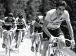 Eddy Merckx.jpg
