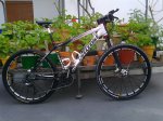 cannondale.jpg
