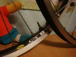 DSC08393.JPG
