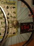 DSC08394.JPG