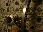 DSC08395.JPG