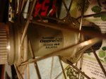 DSC08400.JPG