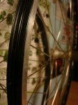 DSC08402.JPG