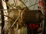 DSC08403.JPG