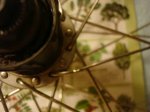 DSC08406.JPG