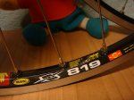 DSC08407.JPG