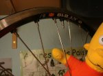 DSC08409.JPG