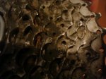 DSC08647.JPG