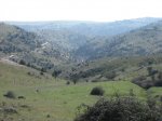 IMG_1888.jpg