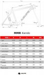 Geom_Kendo20128605.jpg