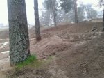 IMG-20120427-WA0008.jpg