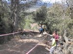 P4290034 (Copiar).JPG