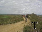 DSCN9681_595_watermark-text.jpg
