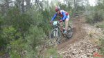 picazo 2012...JPG