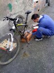 the_Mechanic (2).jpg