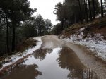 Charco.JPG