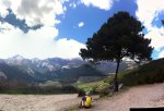 IMG_7800_stitch.jpg