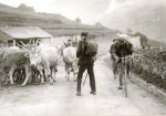 1927 - Tour. 11ª etapa, Michelle Gordini afronta el Aubisque.jpg