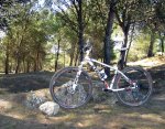 para-foro-mtb2.jpg