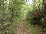 260520122264.jpg