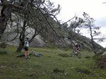 270520122275.jpg