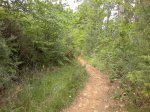 260520122268.jpg