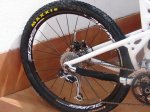 DSC01270 - copia.JPG