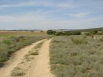 DSC02220.jpg