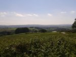 20120529115039.jpg