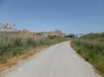 P1020163.JPG