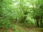 P1090706_800x600.jpg
