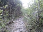 2012-06-02 09.23.47.jpg